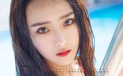 野草高清视频免费